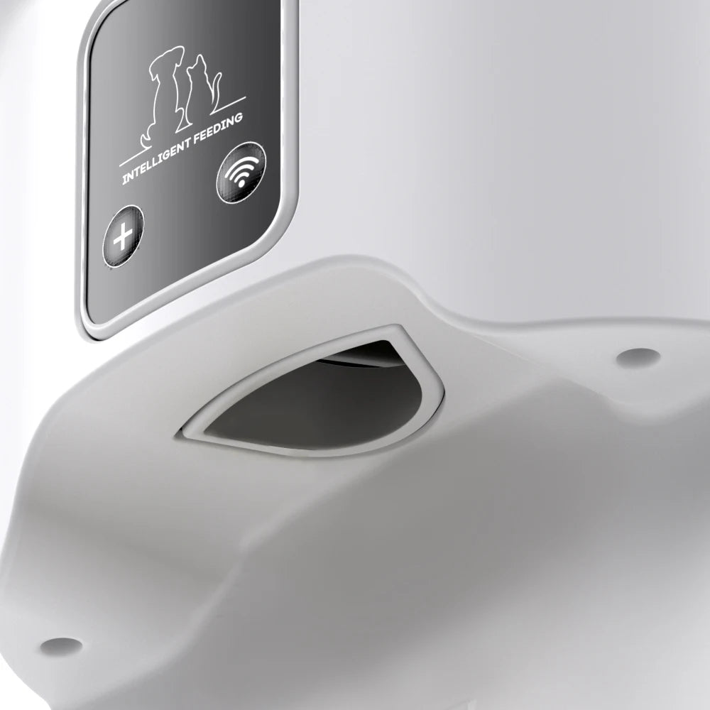 4L WIFI bouton mangeoire automatique pour chat mangeoire intelligente pour animaux de compagnie pour chat et chien distributeur de nourriture pour chat pour animaux de compagnie mangeoire pour animaux de compagnie (sans prise